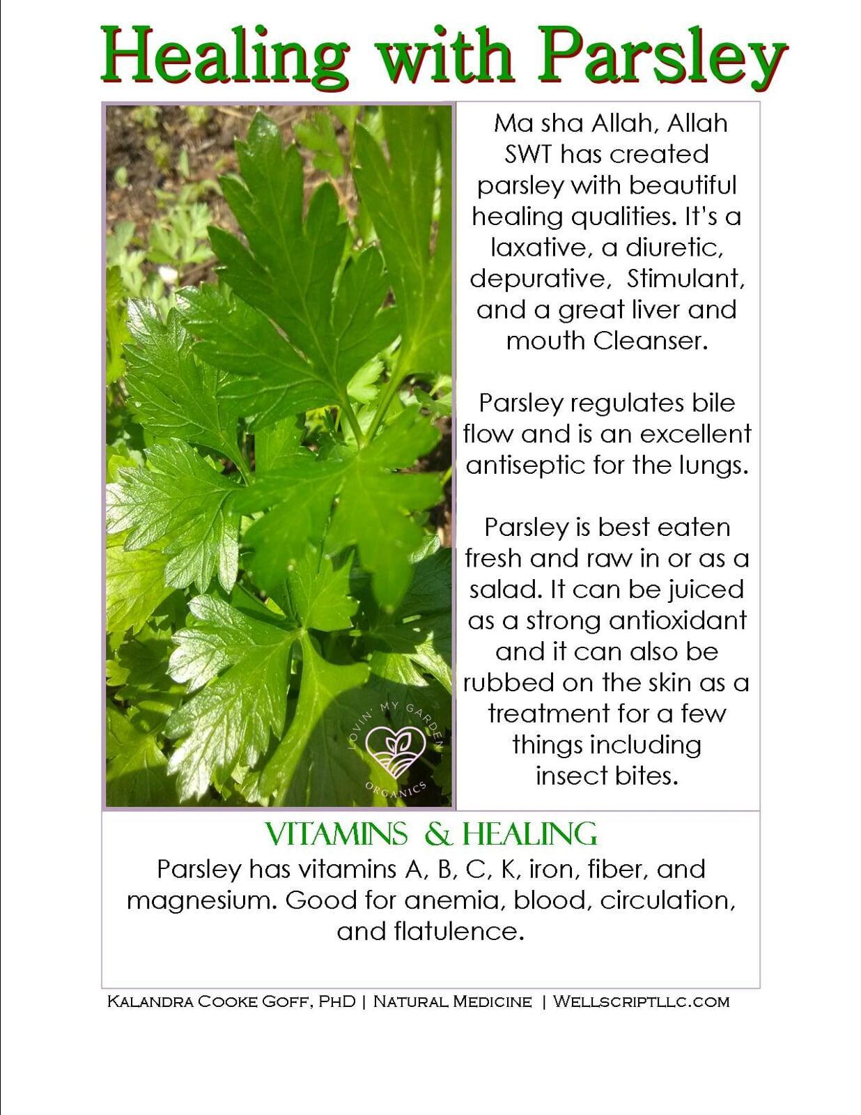 WellScript, LLC Kalandra Cooke Goff, PhD Natural Medicine