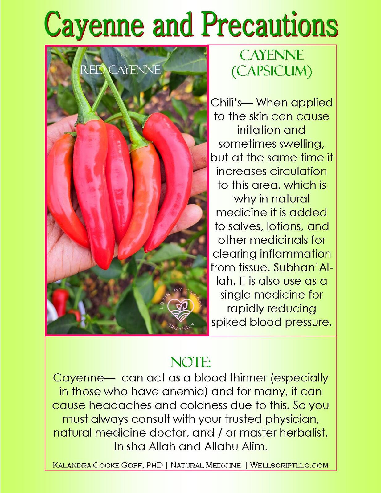 WellScript, LLC Kalandra Cooke Goff, PhD Natural Medicine