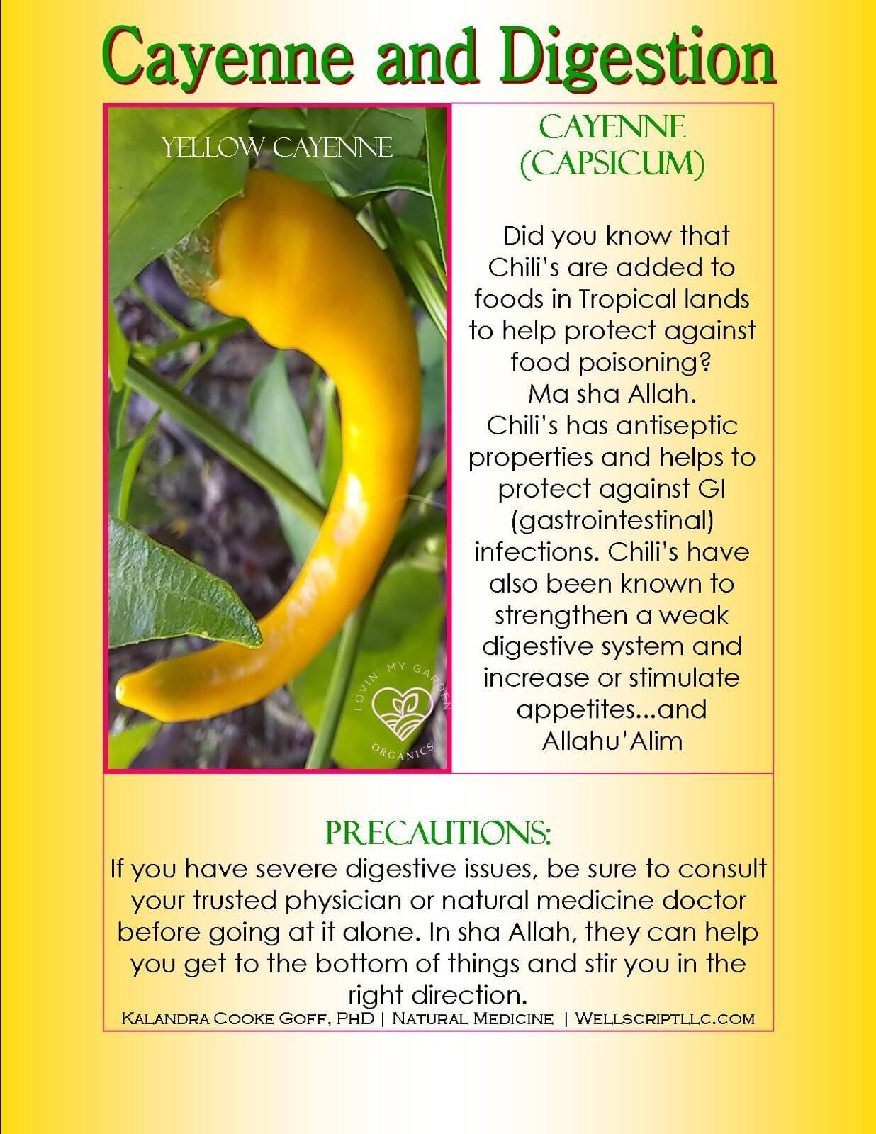 WellScript, LLC Kalandra Cooke Goff, PhD Natural Medicine Lovin' My Garden Organic 