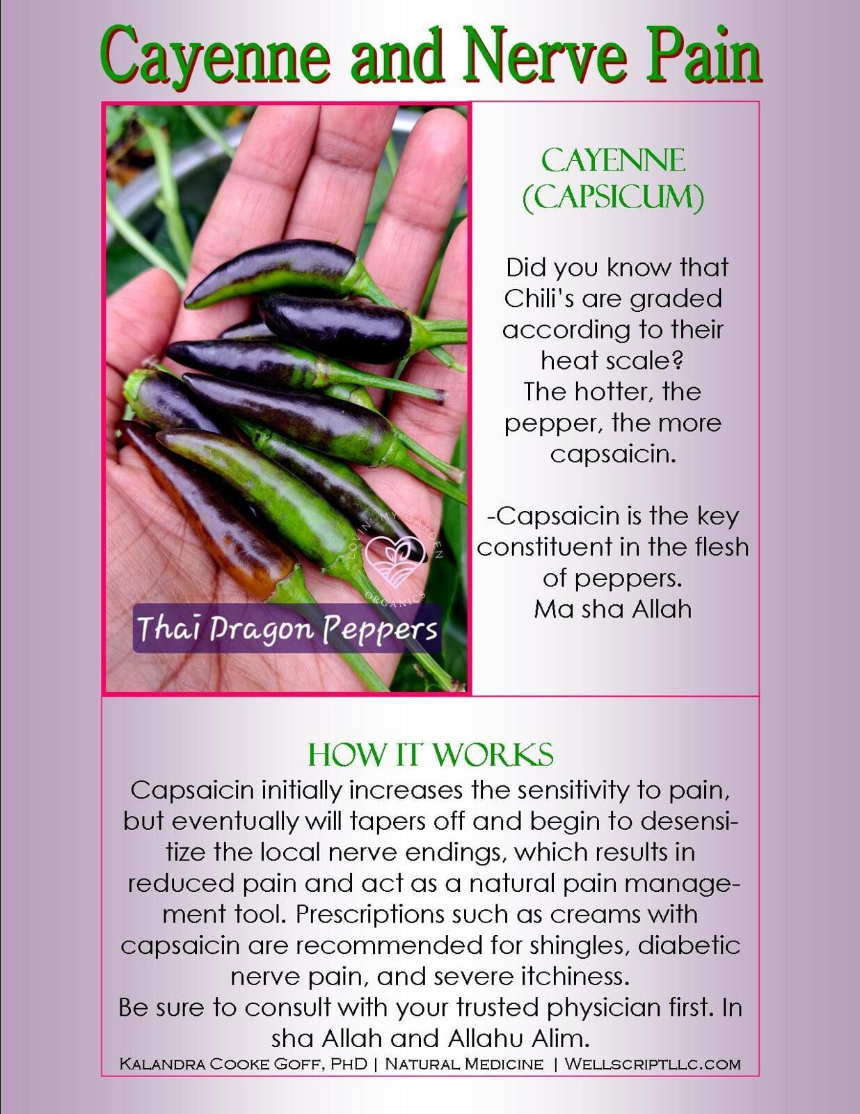 WellScript, LLC Kalandra Cooke Goff, PhD Natural Medicine Lovin' My Garden Organic 