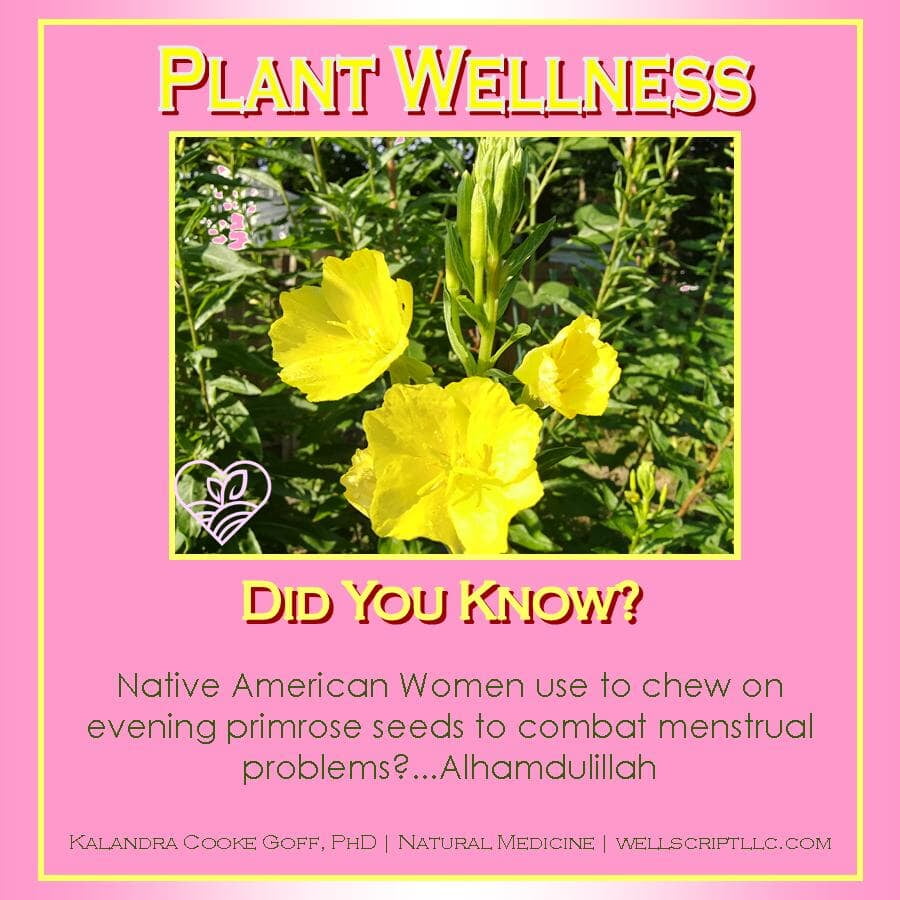 WellScript, LLC Kalandra Cooke Goff, PhD Natural Medicine