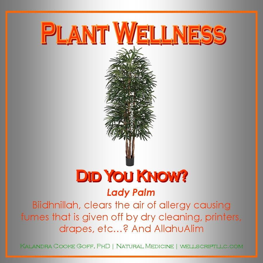 WellScript, LLC Kalandra Cooke Goff, PhD Natural Medicine