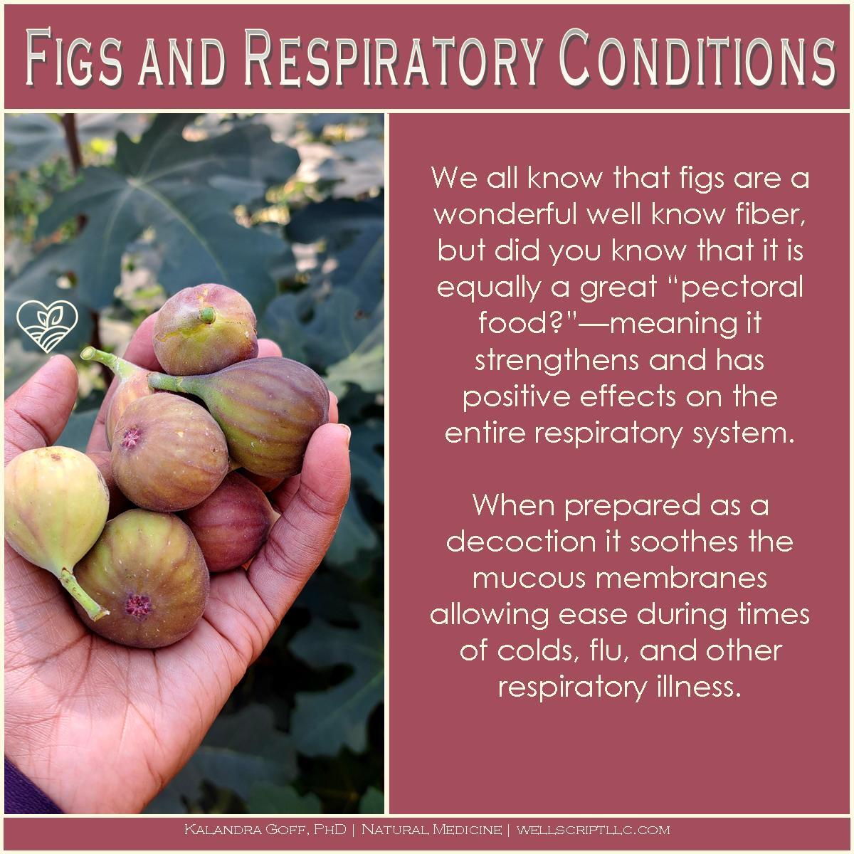 WellScript, LLC Kalandra Cooke Goff, PhD Natural Medicine