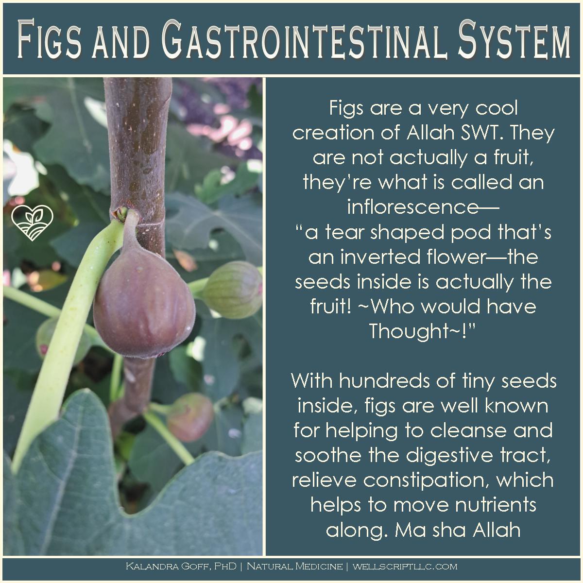 WellScript, LLC Kalandra Cooke Goff, PhD Natural Medicine